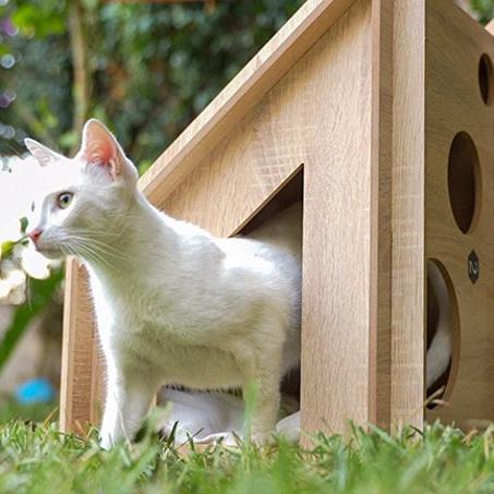 Maison Cat en Bois