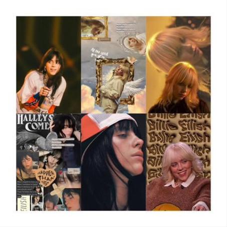 6 Posters Billie Eilish