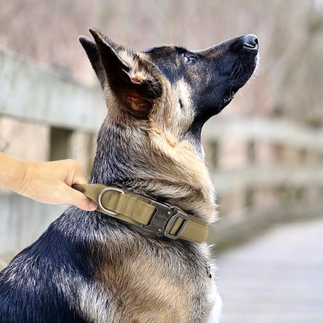 Tactical Dog Collar Military