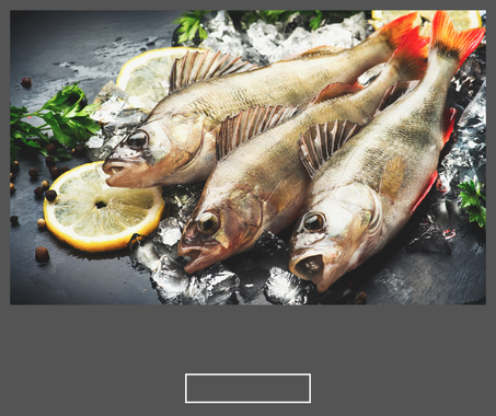 مجموعة اسماك