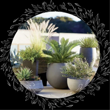 المنزل والحديقة -  home and garden