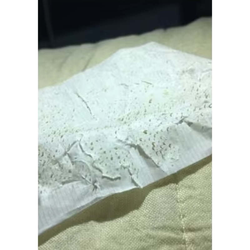 نواف من الطائف