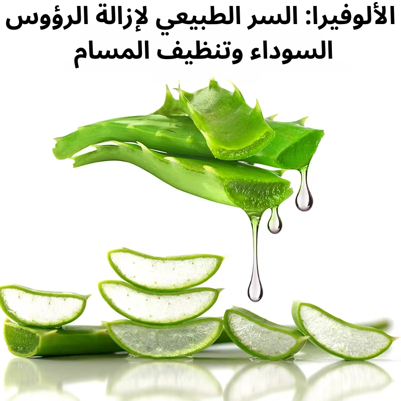 stores/a982d752d54bfbe259cc2b1d099ad826/products/NfGDM7rGdm51dIkNwQOIVF8HQyAhhk69p5DQfaQX.png