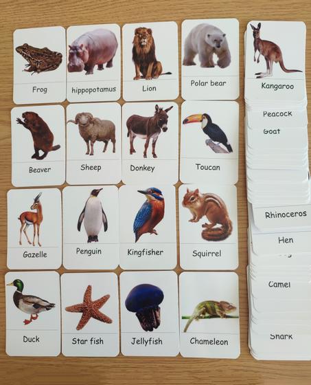 72 cards of animals