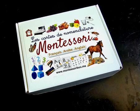 Pack 3 langues, recto verso, 380 images. 190cartes.