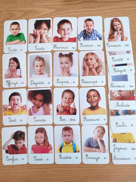 27 Cartes de nomenclature des émotions