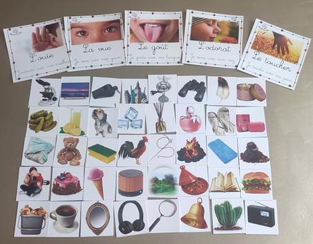 45 Cartes des 5 sens