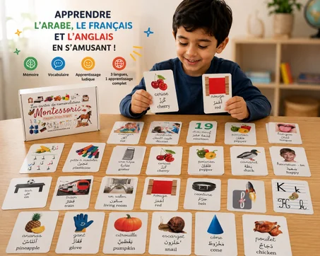 Pack 3 langues, recto verso, 380 images. 190cartes.