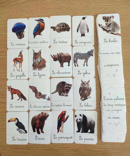 72 Cartes de nomenclature des animaux