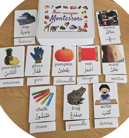 Pack de 200 cartes en 3 langues : arabe anglais français - grandes dimensions 15cm*11cm