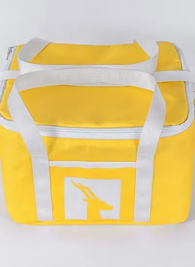 Thermal bag for storing food