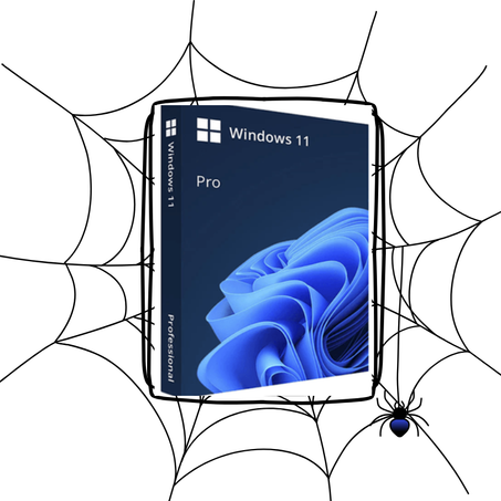 Windows 11 Pro Retail Key