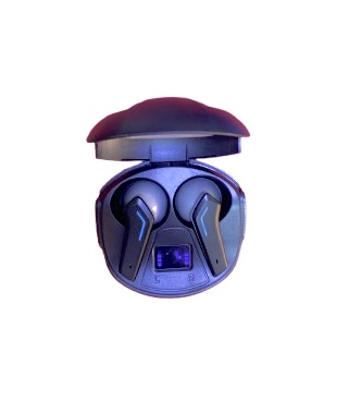 R25 headphones