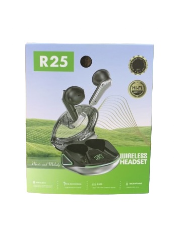 R25 headphones
