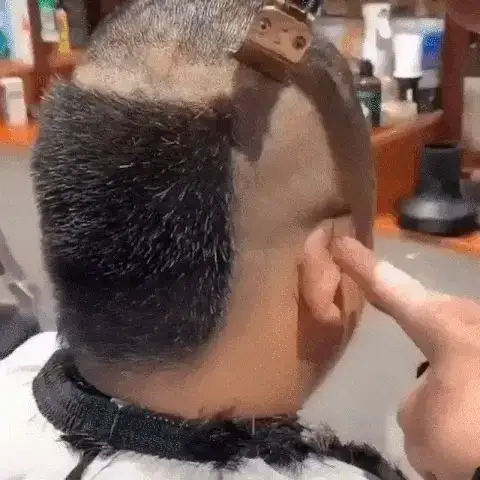 Professional Hair Trimmer