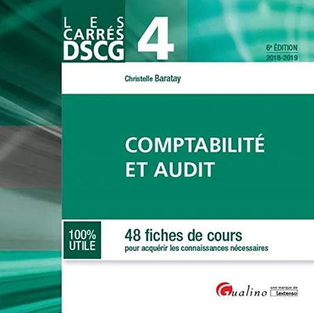Les carrés DSCG 4 - Comptabilité et audit - 48 Fiches de cours