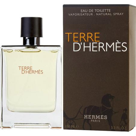 Teггe D'Heгmes Pour Hommes 100ml