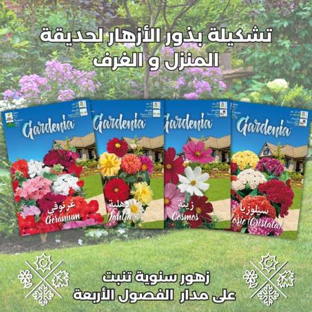 تشكيلة 4 أنواع زهور للمنزل والحديقة