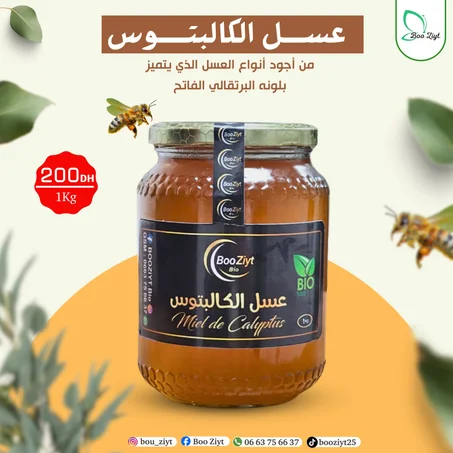 عسل الكلبتوس