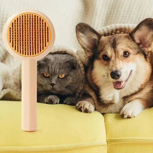 Brosse rayon GB bouton