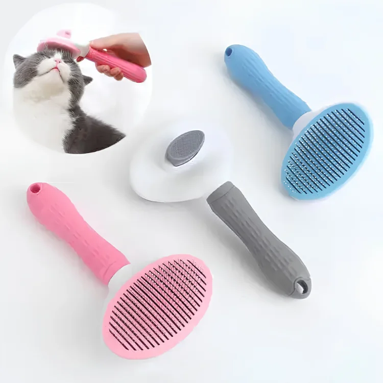 Brosse ellipse bouton