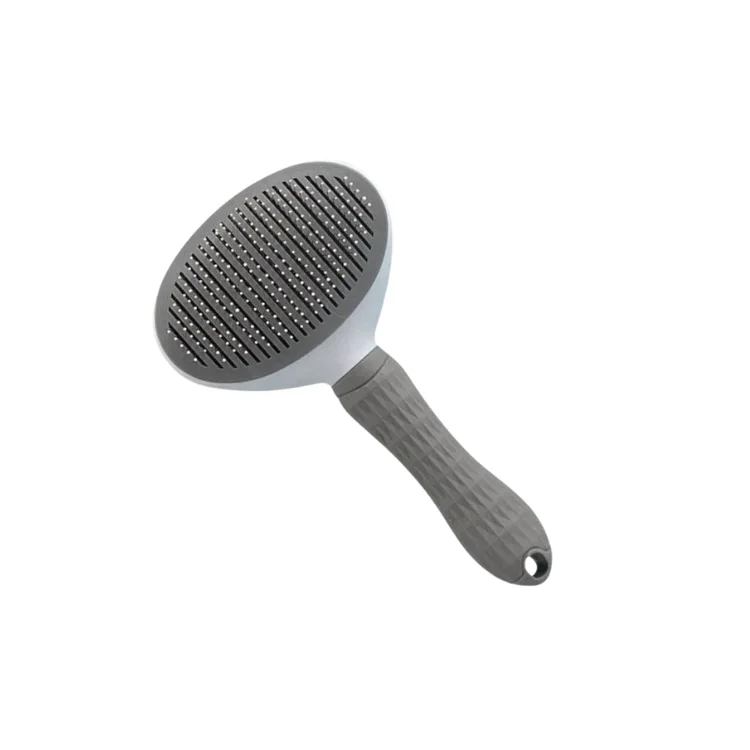Brosse ellipse bouton