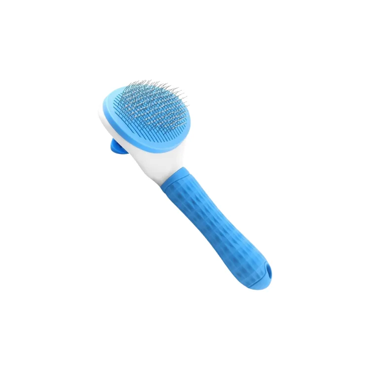 Brosse ellipse bouton