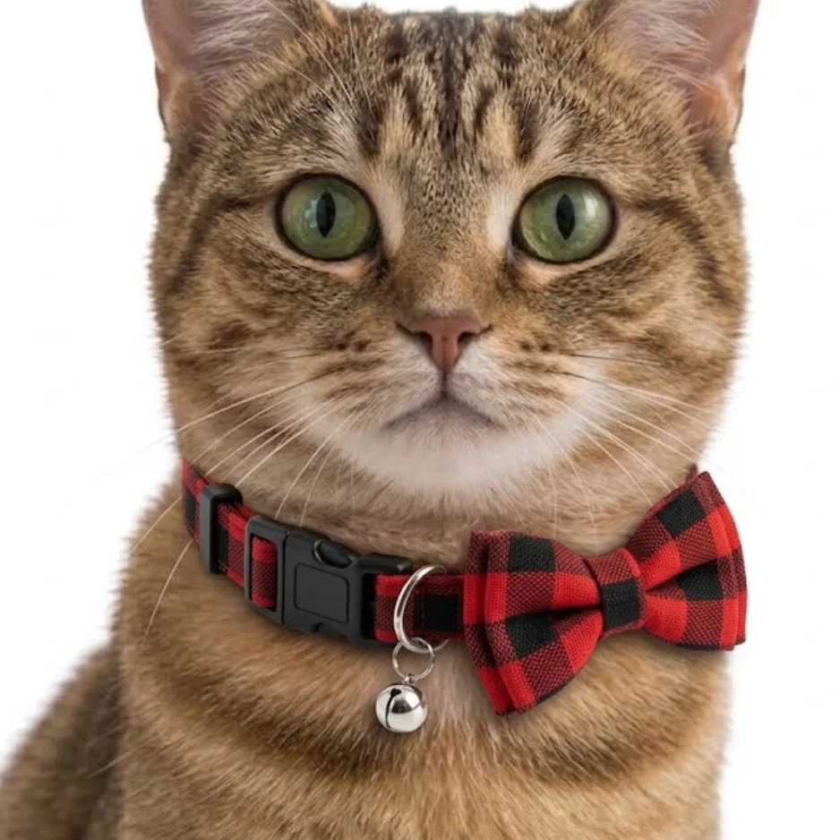 Collier Chat Nœud Papillon Rouge et Noir