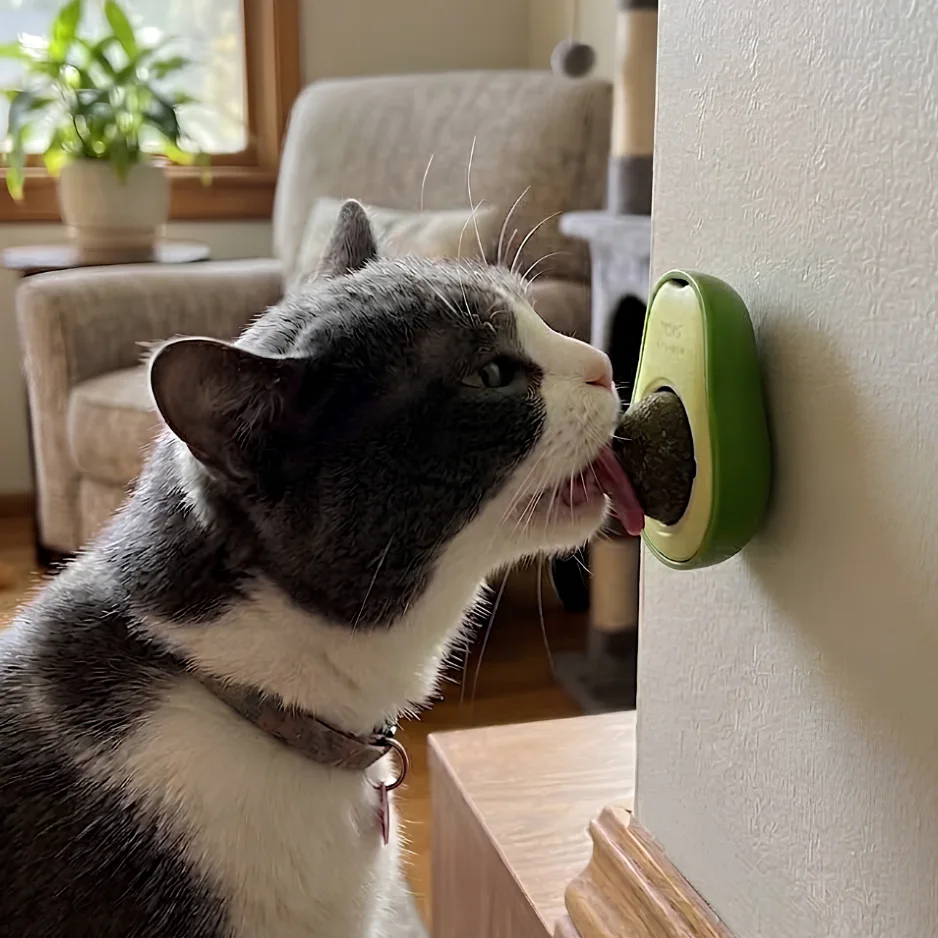 Avocado catnip