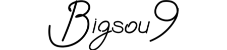 bigsou9