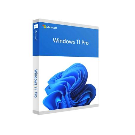 Windows 11 Professional valid for use in 1 PC