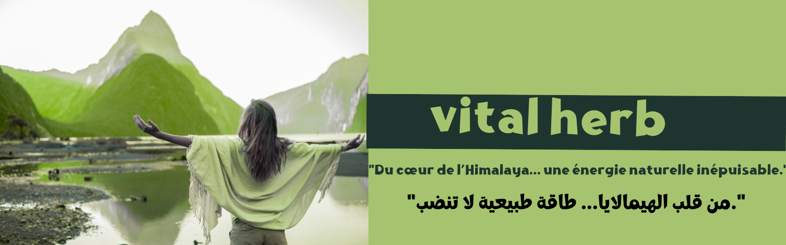 slider-image