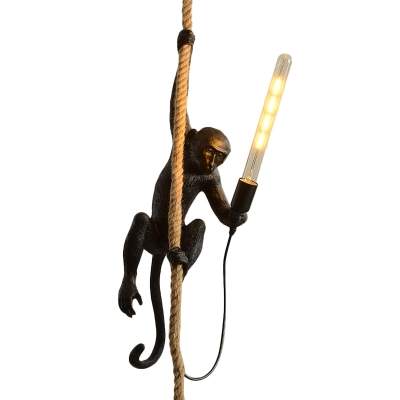 Lampe singe avec suspension d'extérieur en corde
