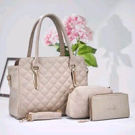 باك حقائب نسائية رائعة