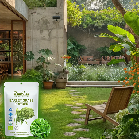 بذور عشب الاخضر لأربعة فصول