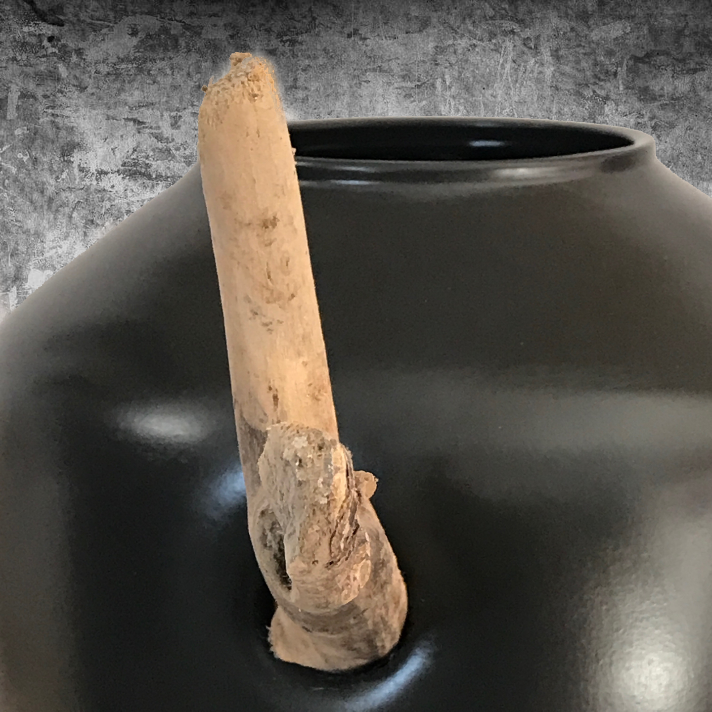 Vase avec Branche