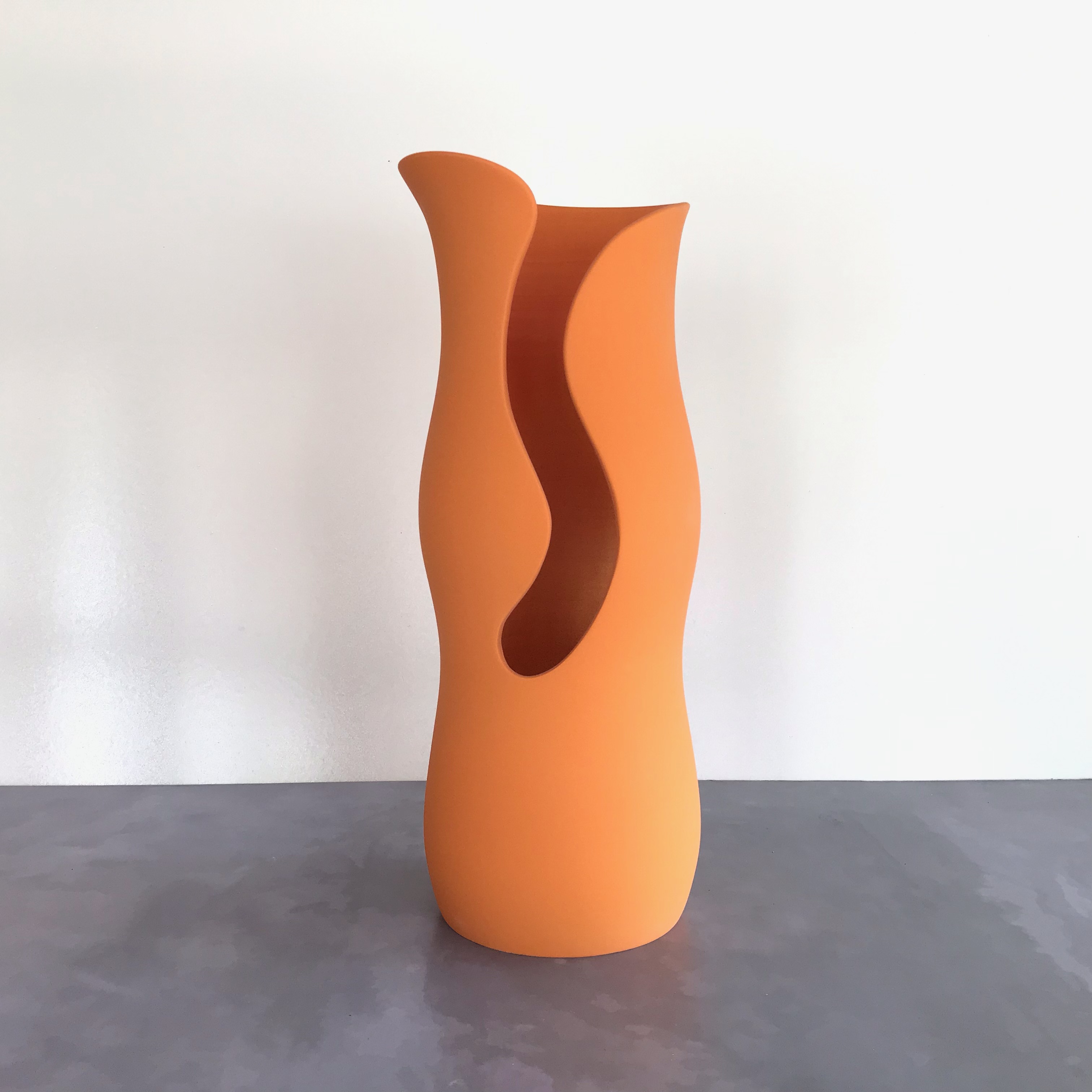 Vase illusion