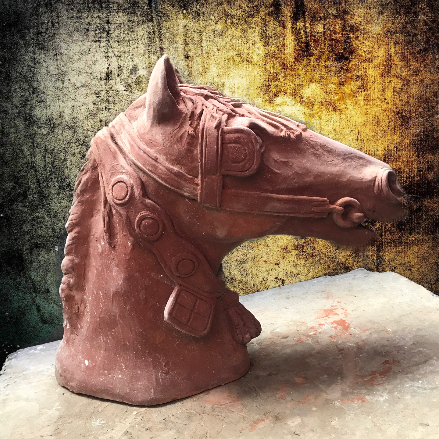 Tête de cheval