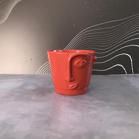 Face Pot