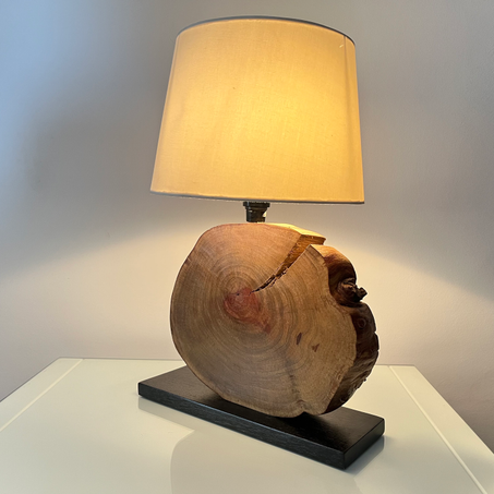 Wood Slice Lamp