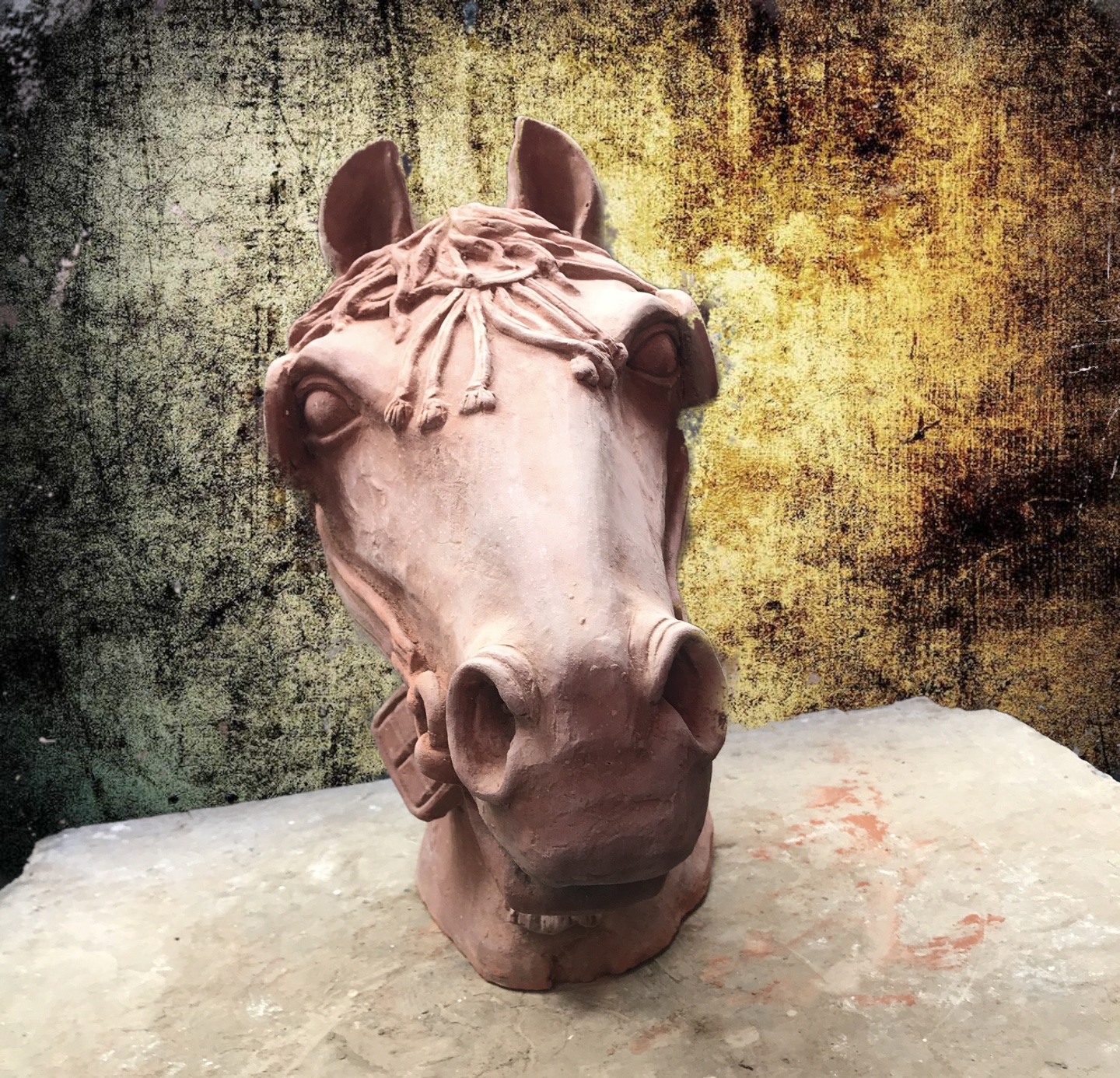 Tête de cheval