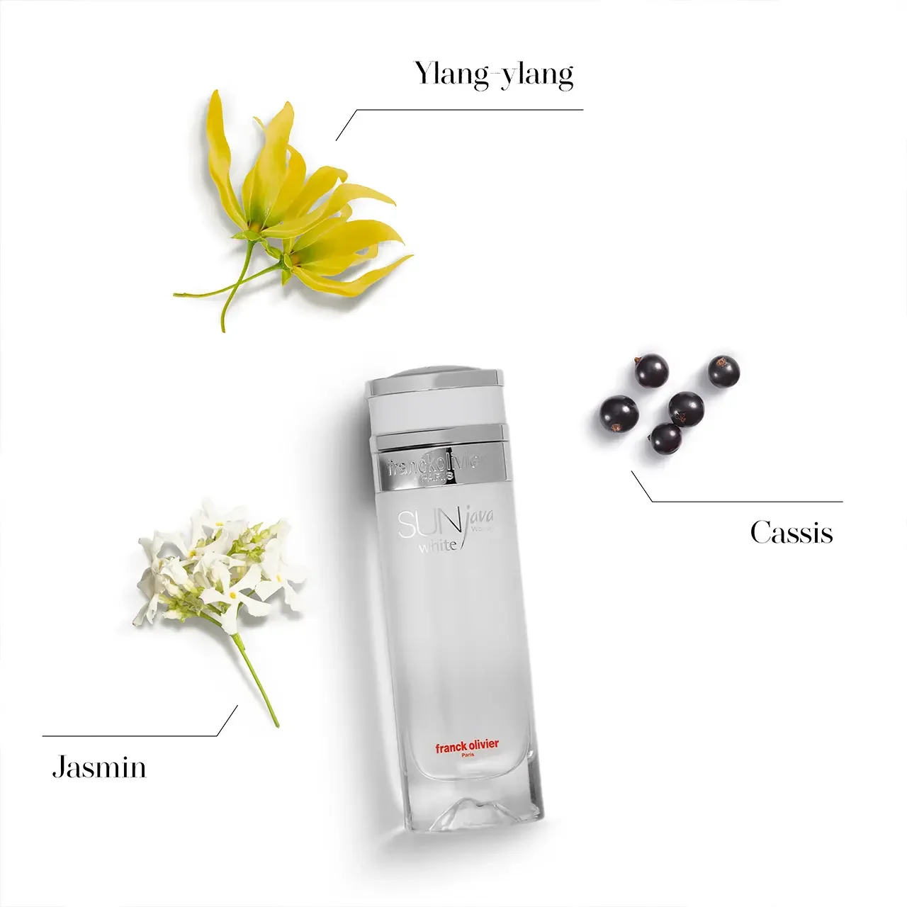 TESTEUR  - SUN JAVA WHITE WOMEN – Franck Olivier | Eau de Parfum Floral Fruité Femme