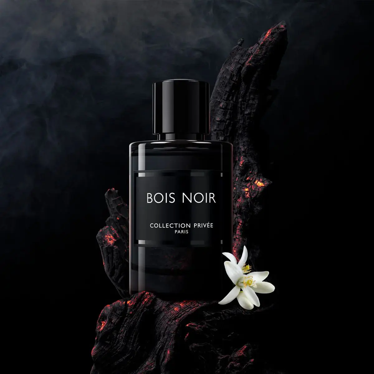 Bois Noir - Eau de Parfum Homme | Geparlys | Boisé, Ambré, Élégant - 100 ml