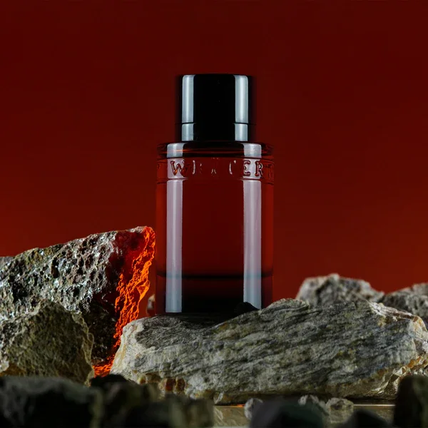 WRITER ANONYMOUS – Paris Bleu | Eau de Parfum Homme Aromatique & Boisé (100 ml)