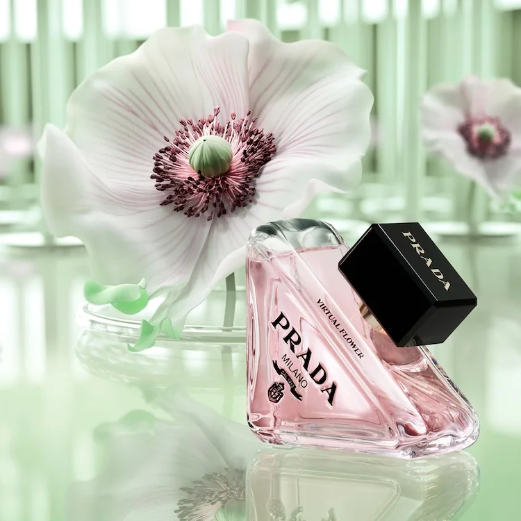 PROMO Paradoxe Virtual Flower