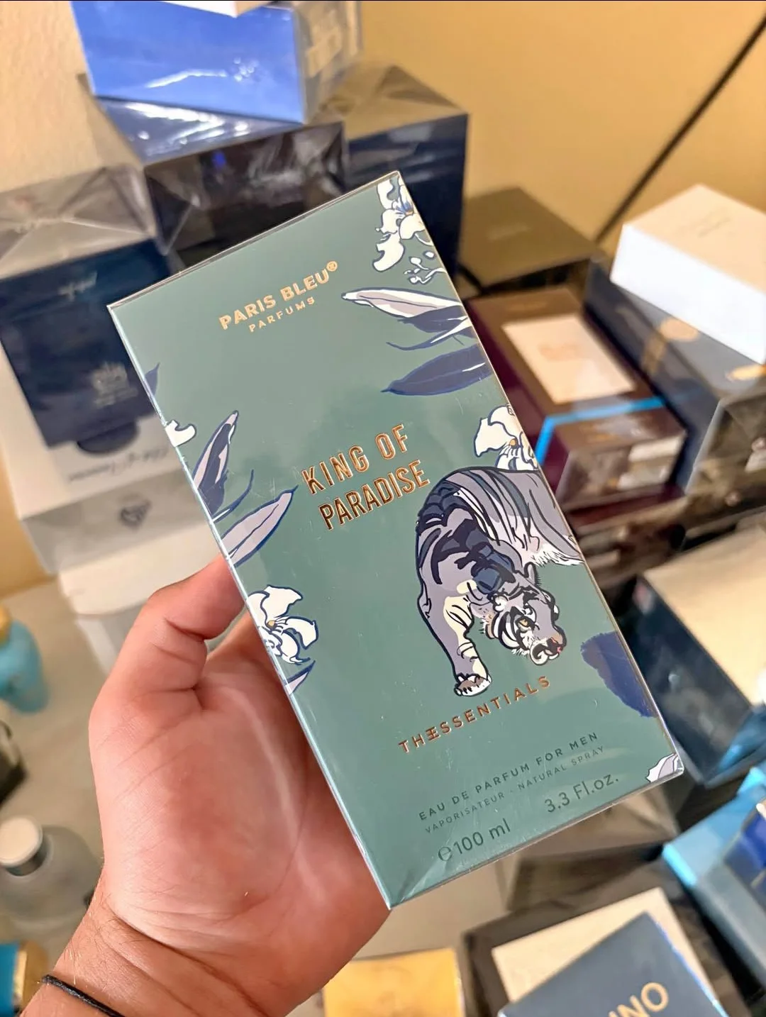 king of paradise عطر