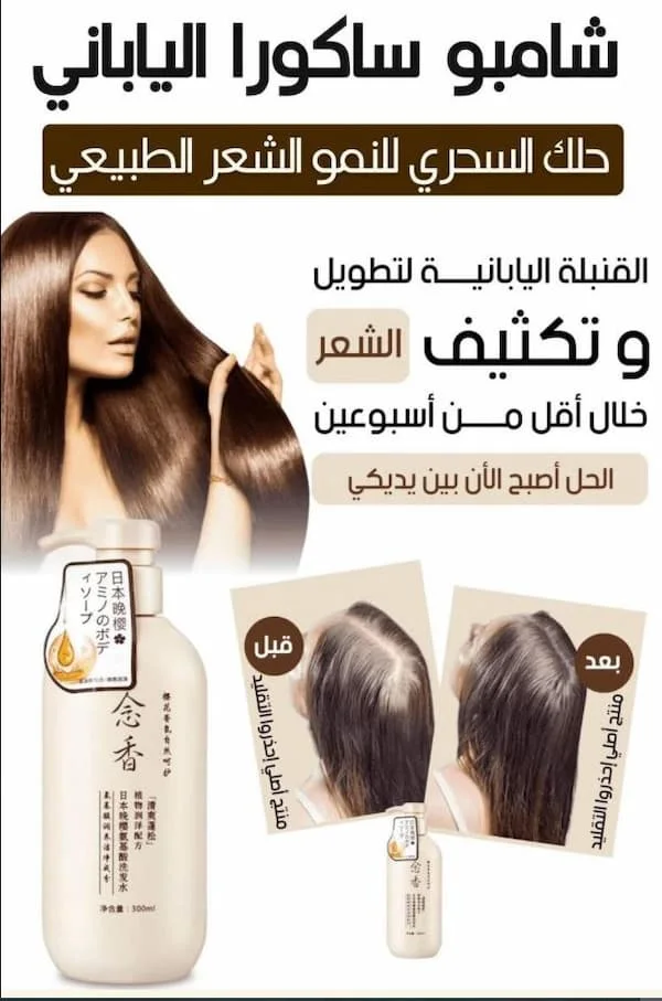 شامبو ساكورا