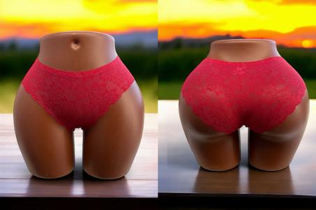 Lots de 3 Slips dentelles