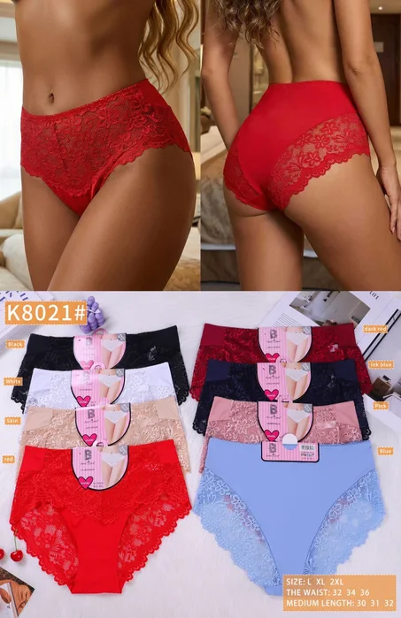 Lots de 6 Slips en dentelle