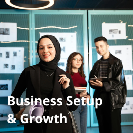 Business Setup & Growth